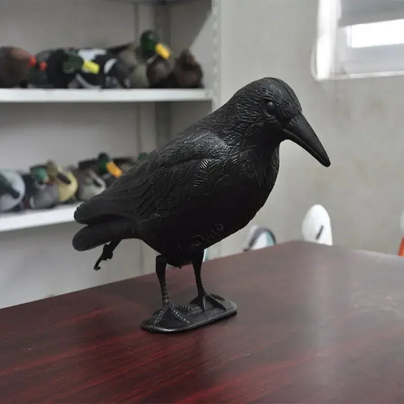 A black crow decoy statue standing on a wooden table in a room with shelves.