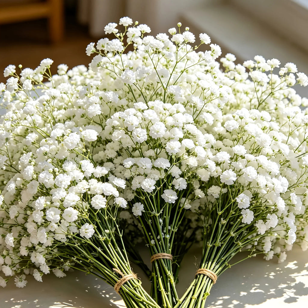 Twenty bouquets of white artificial gypsophila flower branches arranged together.