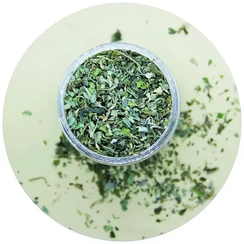 Top view of a clear plastic jar filled with dried catnip